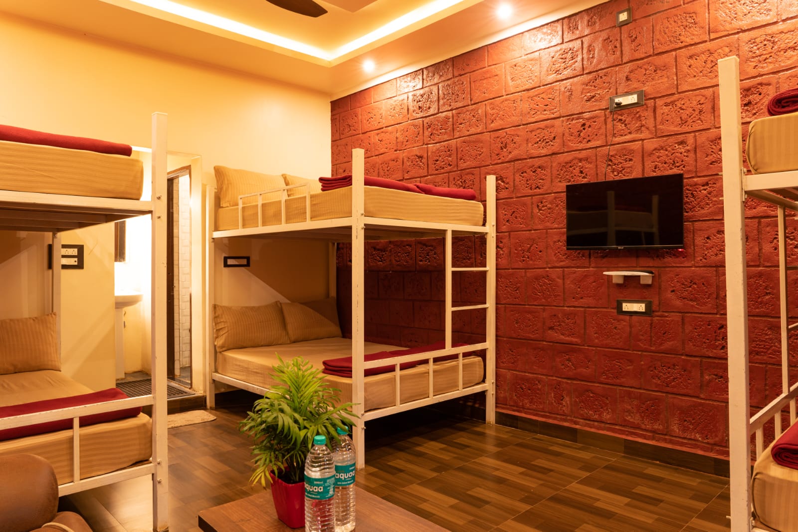 Best Dandeli Packages